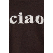 Fransa FRflorence pu 2 Ciao brown jumper