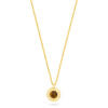 Talis Chains Zodiac Pentant necklace tigers eye