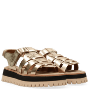 Maruti 66.1782.01 Logan Leather gold
