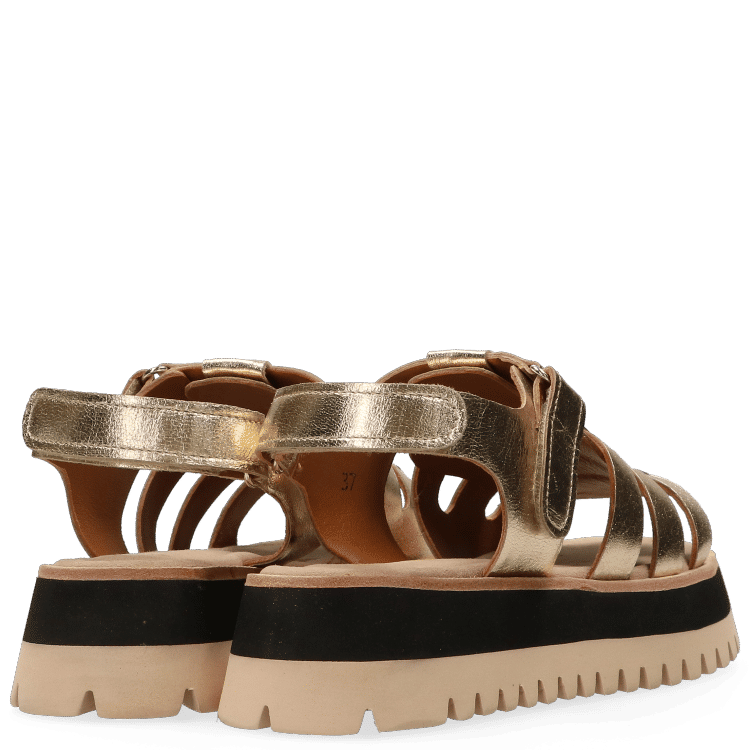 Maruti 66.1782.01 Logan Leather gold