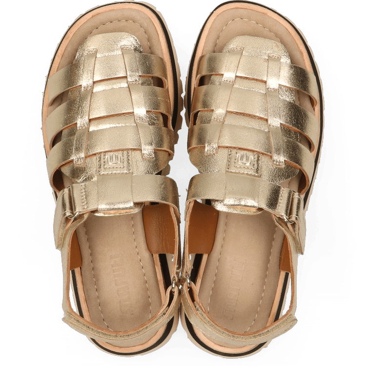 Maruti 66.1782.01 Logan Leather gold